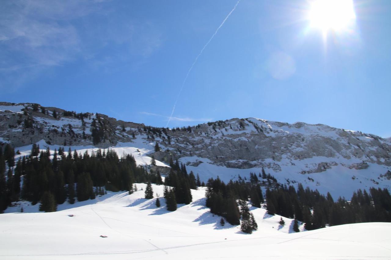 Entre Et Montagnes Thones
