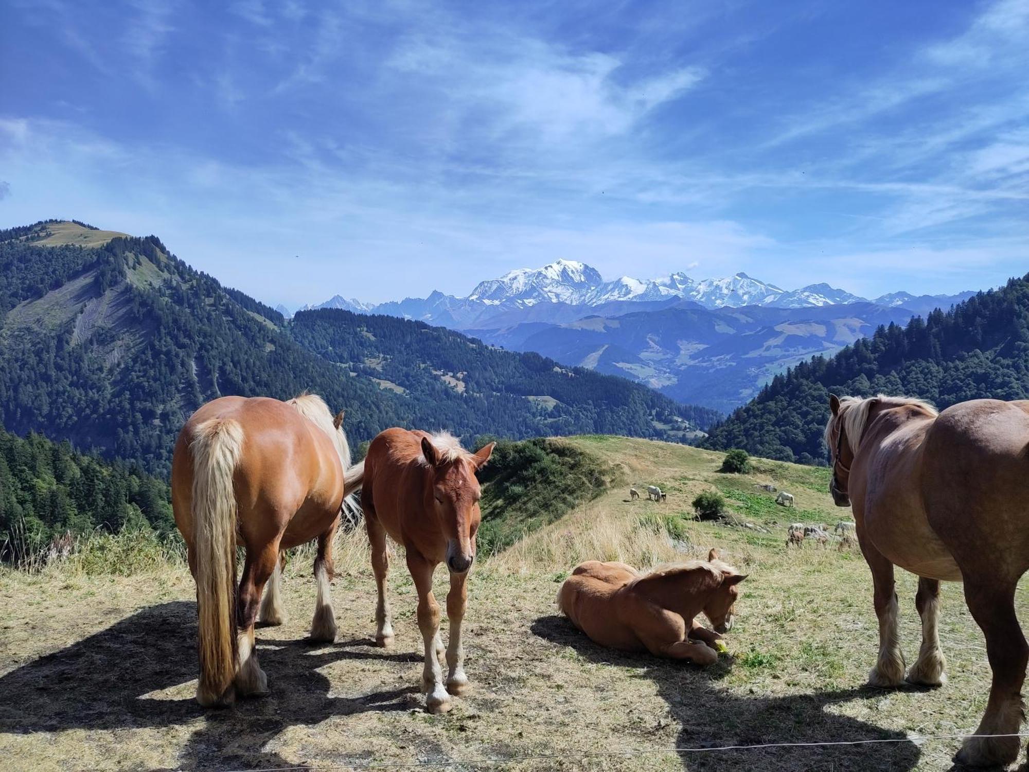 Entre Et Montagnes Thones
