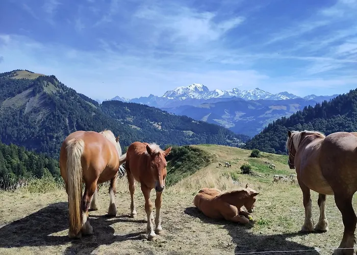 Logement Entre Lac Et Montagnes